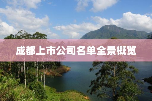 成都上市公司名单全景概览