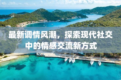 最新调情风潮，探索现代社交中的情感交流新方式
