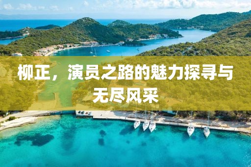 柳正，演员之路的魅力探寻与无尽风采