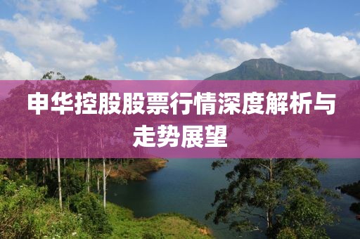 申华控股股票行情深度解析与走势展望