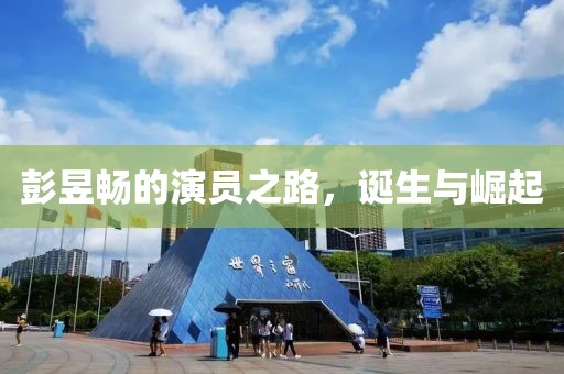 彭昱畅的演员之路，诞生与崛起