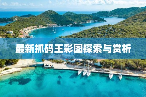 最新抓码王彩图探索与赏析