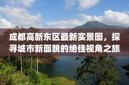 成都高新东区最新实景图，探寻城市新面貌的绝佳视角之旅