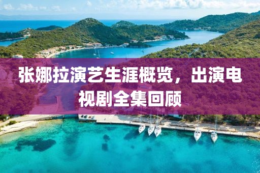 张娜拉演艺生涯概览，出演电视剧全集回顾
