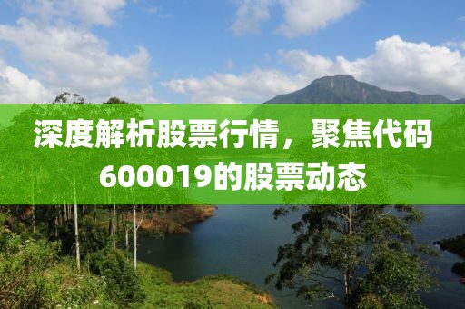 深度解析股票行情，聚焦代码600019的股票动态