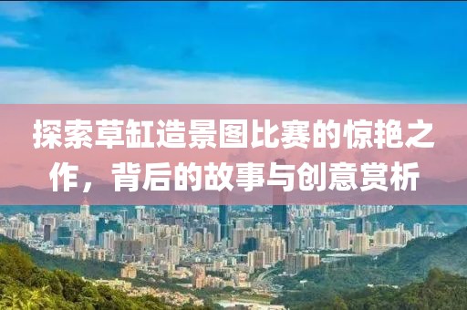 探索草缸造景图比赛的惊艳之作，背后的故事与创意赏析