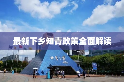 最新下乡知青政策全面解读