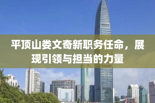 平顶山娄文奇新职务任命，展现引领与担当的力量
