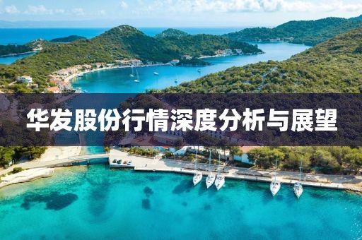 华发股份行情深度分析与展望