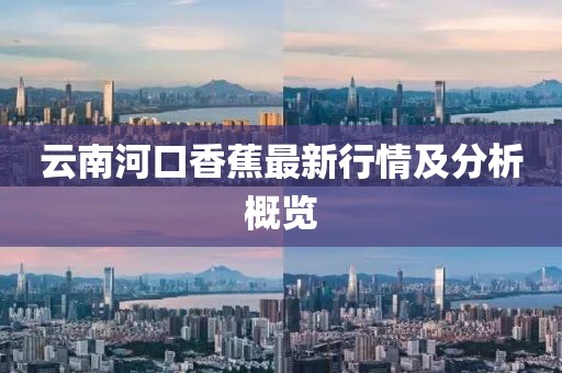 云南河口香蕉最新行情及分析概览