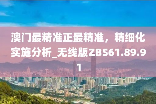 澳门最精准正最精准，精细化实施分析_无线版ZBS61.89.91
