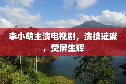 李小萌主演电视剧，演技璀璨，荧屏生辉