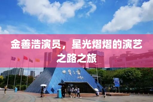 金善浩演员，星光熠熠的演艺之路之旅