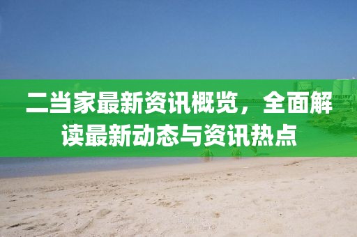 二当家最新资讯概览，全面解读最新动态与资讯热点