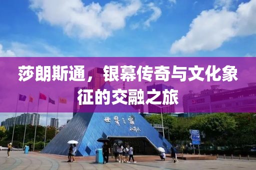 莎朗斯通，银幕传奇与文化象征的交融之旅