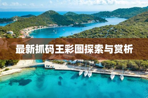 最新抓码王彩图探索与赏析