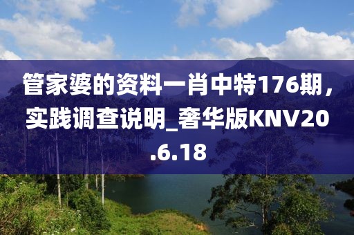 管家婆的资料一肖中特176期，实践调查说明_奢华版KNV20.6.18