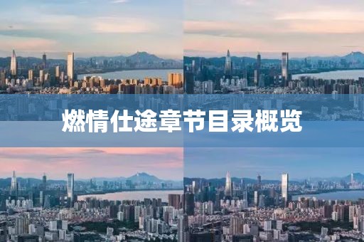 燃情仕途章节目录概览