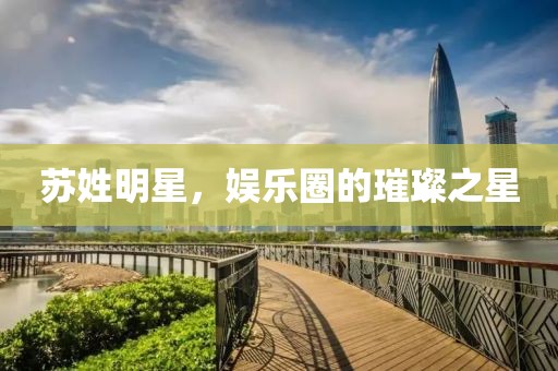苏姓明星，娱乐圈的璀璨之星