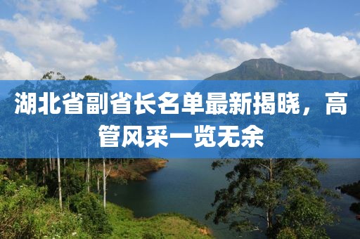 湖北省副省长名单最新揭晓，高管风采一览无余