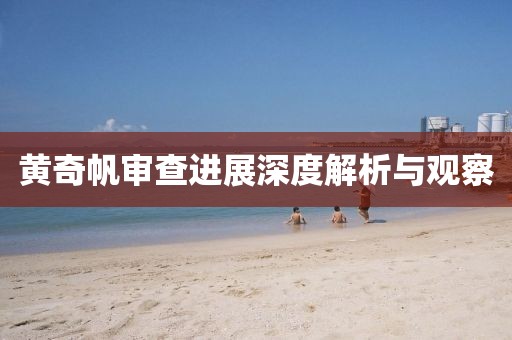 黄奇帆审查进展深度解析与观察