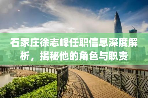 石家庄徐志峰任职信息深度解析，揭秘他的角色与职责