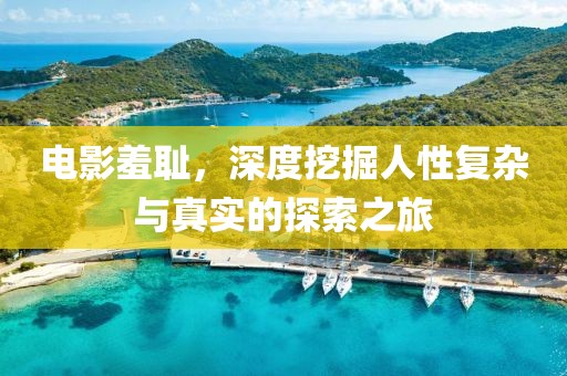 电影羞耻，深度挖掘人性复杂与真实的探索之旅