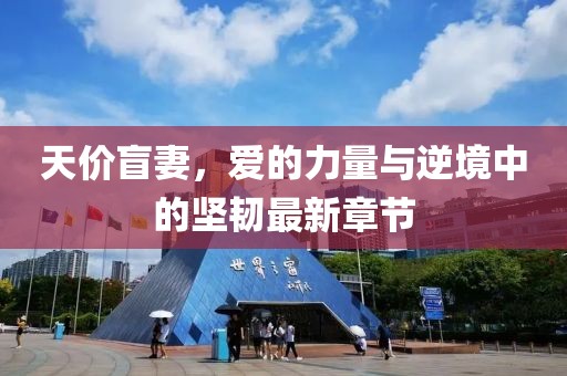 天价盲妻，爱的力量与逆境中的坚韧最新章节