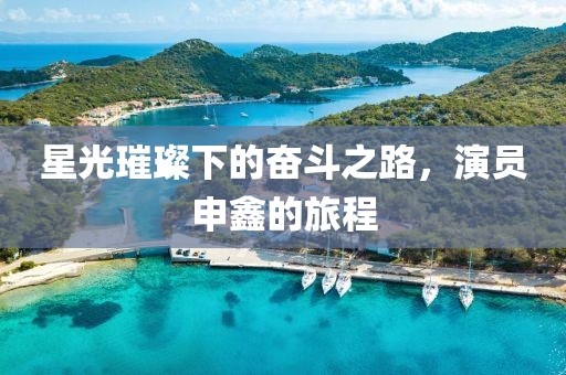 星光璀璨下的奋斗之路，演员申鑫的旅程