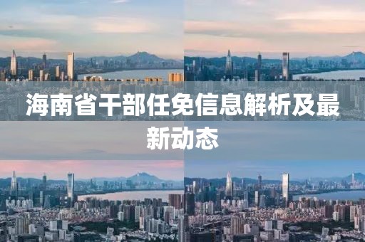 海南省干部任免信息解析及最新动态