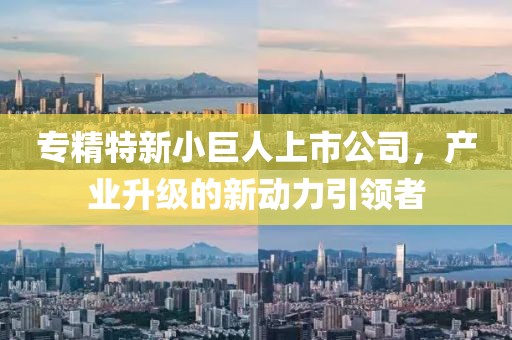 专精特新小巨人上市公司，产业升级的新动力引领者