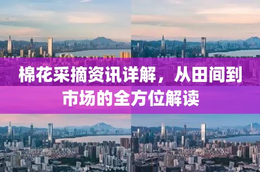 棉花采摘资讯详解，从田间到市场的全方位解读