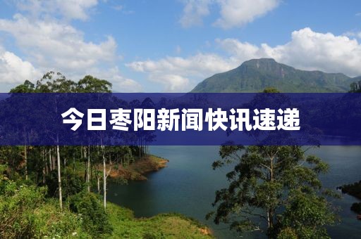 今日枣阳新闻快讯速递