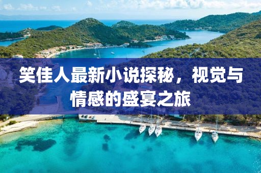 笑佳人最新小说探秘，视觉与情感的盛宴之旅