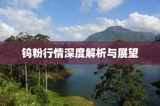 钨粉行情深度解析与展望