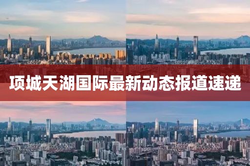 项城天湖国际最新动态报道速递