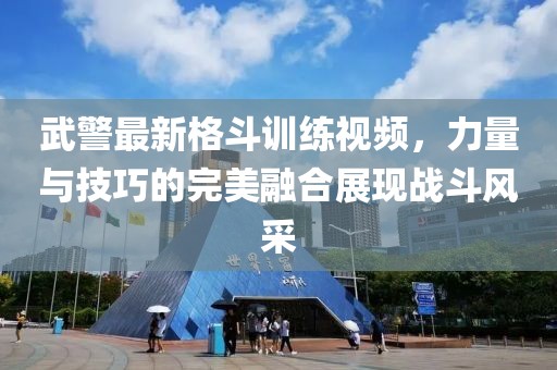 武警最新格斗训练视频，力量与技巧的完美融合展现战斗风采