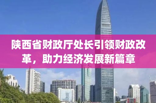 陕西省财政厅处长引领财政改革，助力经济发展新篇章