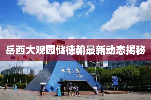 岳西大观园储德翰最新动态揭秘