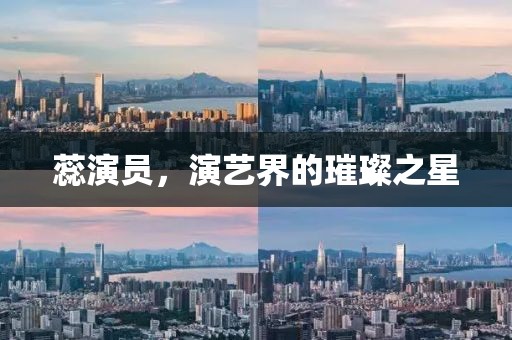 蕊演员，演艺界的璀璨之星