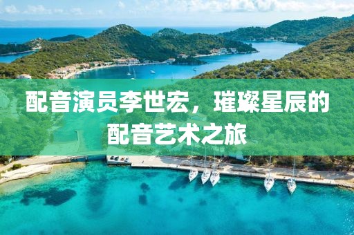 配音演员李世宏，璀璨星辰的配音艺术之旅