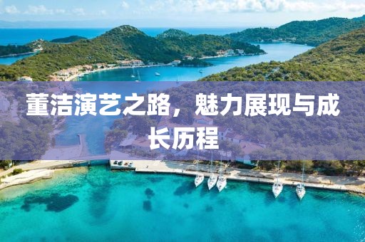 董洁演艺之路，魅力展现与成长历程