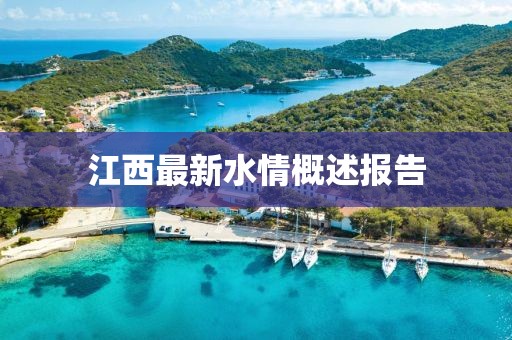 江西最新水情概述报告