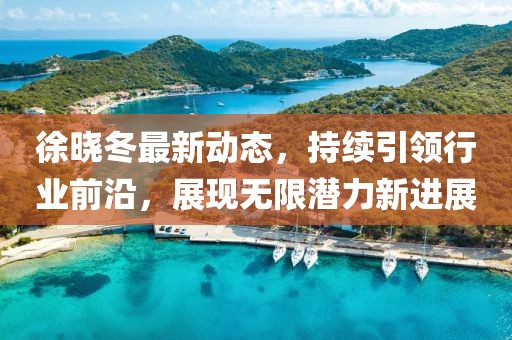 徐晓冬最新动态，持续引领行业前沿，展现无限潜力新进展