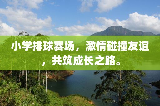 小学排球赛场，激情碰撞友谊，共筑成长之路。