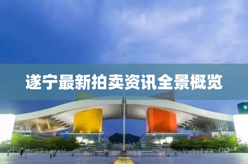 遂宁最新拍卖资讯全景概览