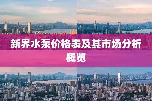 新界水泵价格表及其市场分析概览