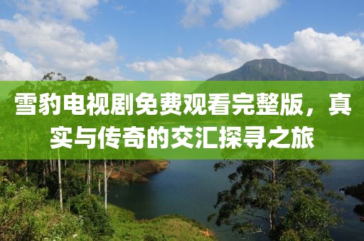 雪豹电视剧免费观看完整版，真实与传奇的交汇探寻之旅