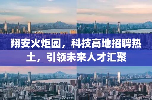翔安火炬园，科技高地招聘热土，引领未来人才汇聚