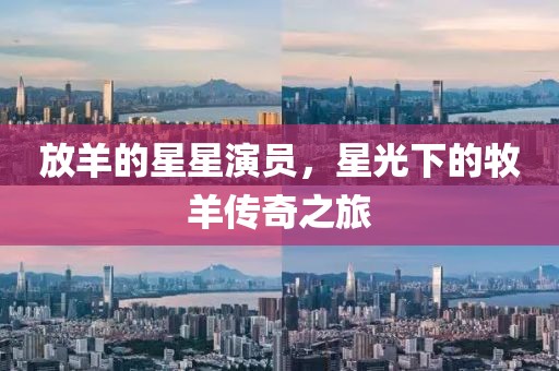 放羊的星星演员，星光下的牧羊传奇之旅